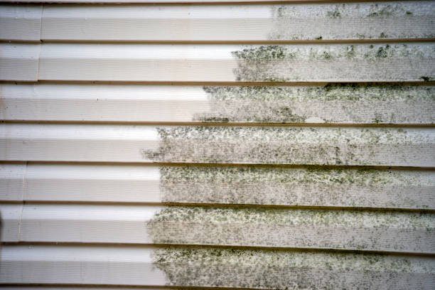 Custom Trim and Detailing for Siding in Red Bank, NJ