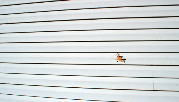 Best Residential Vinyl Siding Installation  in Red Bank, NJ