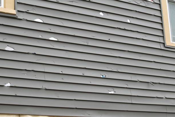 Best Historical Building Siding Restoration  in Red Bank, NJ