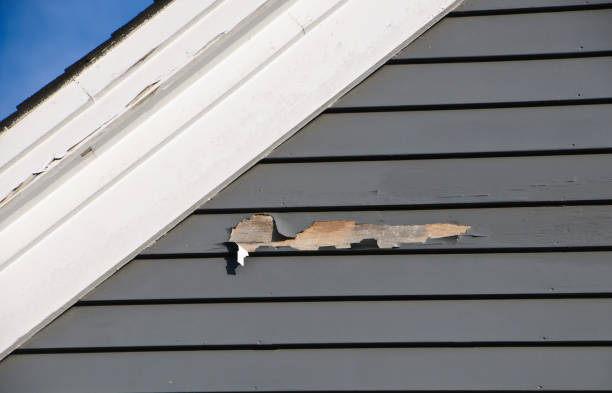 Best Fiber Cement Siding Installation  in Red Bank, NJ